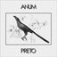 Anum Preto