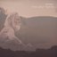 Into Your Hands - Single