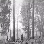 folklore (deluxe version)