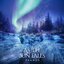 Where the Silence Reigns - Single