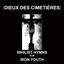 Nihilist Hymns for Iron Youth