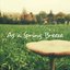 As a Spring Breeze - Mixtape n°2