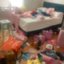my last disaster