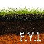 F.Y.I. (DIGITALLY REMASTERED)