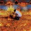 ⚘incendié el jardín/// lo siento⚘