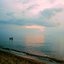 Pure Michigan