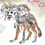 A Weird Little Dog