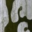 Niu Shit - Single