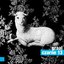 Czarne 13