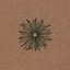 The Analog Botany Collection