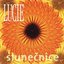 Slunecnice