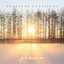 Peaceful Classical Piano: Volume III