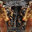 Chronicles of Cadaveric Transformation