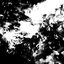 Dark Clover