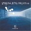 STILLING,STILL DREAMING