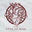 Still Human