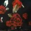heartscapes (ep)