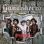 Linnanherra