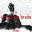 Terra de Buda - Prod. Velho Beats - IssoQueÉSomDeRap