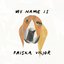 My name is Friska Viljor (iTunes Deluxe Version)