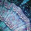 Petite Constellations