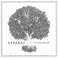 Silizium (EP)