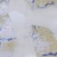 My Stupid Tree-Frog Daughter/Thin Circle (Remixes)