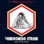 Andromeda Strain