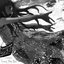 love you yolo