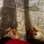 🎃🎃i frankenstein floorboards my feet gettin 🦶stuck i think ushould watch me 👀👀 ik im comin up 👀 ..follow me and dm me your favorite color "Like Dislike Yes, there is a zombie emoji 🧟, i'