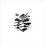 False 06