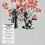 Downside Up (disc 2)