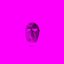 DOULA (hypercouleurs)