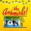 Animal Tracks