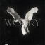 worry