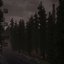 whitepine 2