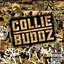 Best Of Collie Buddz