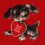 Kiss The Knife - Single