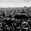 Avatar for Parallax_
