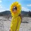Sunshine Kid - Single