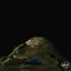 mountains & molehills