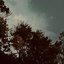 Lowland, One (breve)