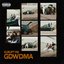 GDWDMA
