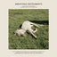 Touchtheplants Presents: Breathing Instruments