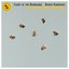 Rimsky Korsakov: Flight of the Bumblebee