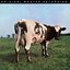 Atom Heart Mother  (MFSL 200g LP)