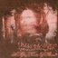 A Shifting Sense of Stillness