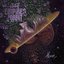 Notes from the Ether: Below