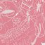 Alkisah (Russian Remixes)