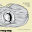Vulture/Provider